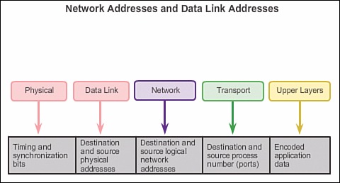 网络层地址与链路层地址