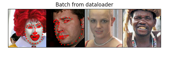 batch from dataloader