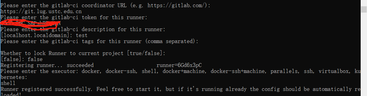 .Net Core自动化部署系列（三）：使用GitLab CI/CD 自动部署Api到Docker第3张