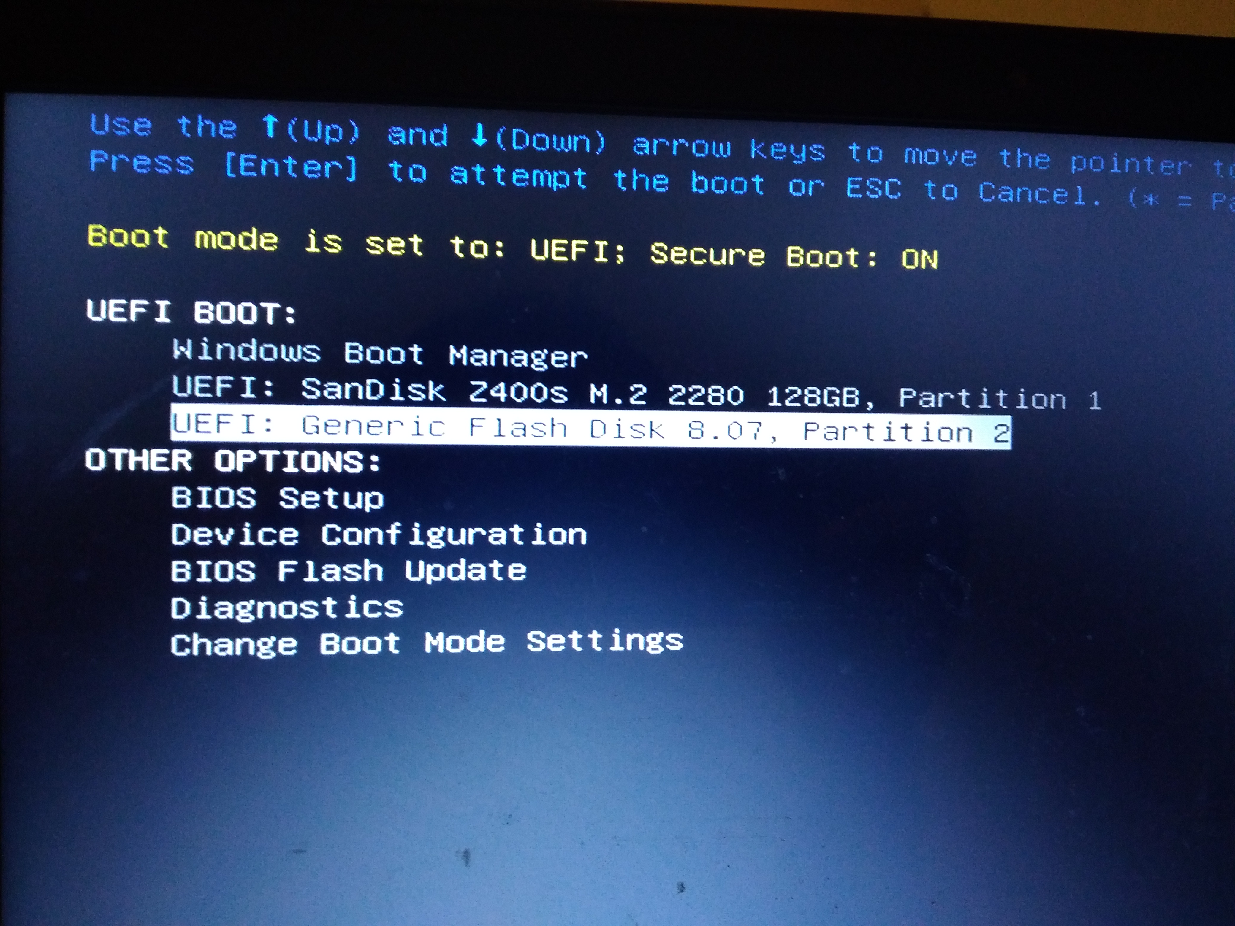 摁下f12进入boot menu界面选择启动盘启动安装kali