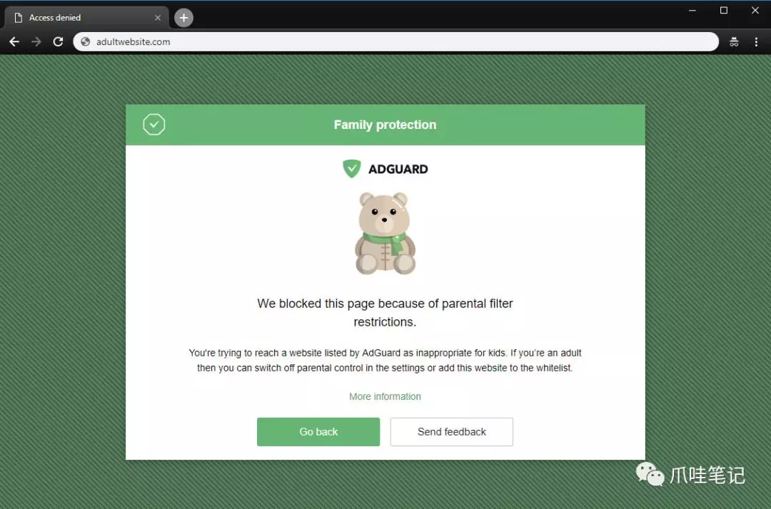 这可能是世界上最高级的广告拦截程序！_AdGuard Home_10