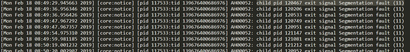 理解 Segmentation fault「终于解决」