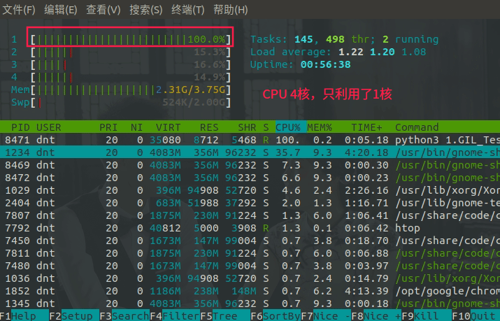 8.python_htop.png