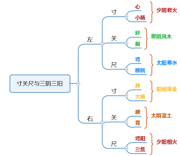 寸关尺图解图片