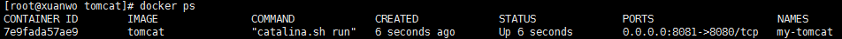 Docker 安装 Tomcat第6张