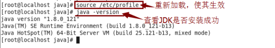 Linux服务器上搭建web项目环境[通俗易懂]