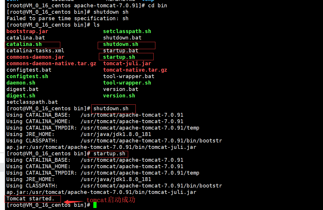 Linux服务器上搭建web项目环境[通俗易懂]