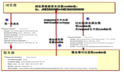 一文带你超详细了解Cookie