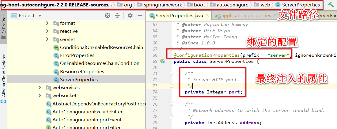 Server Configuration Properties