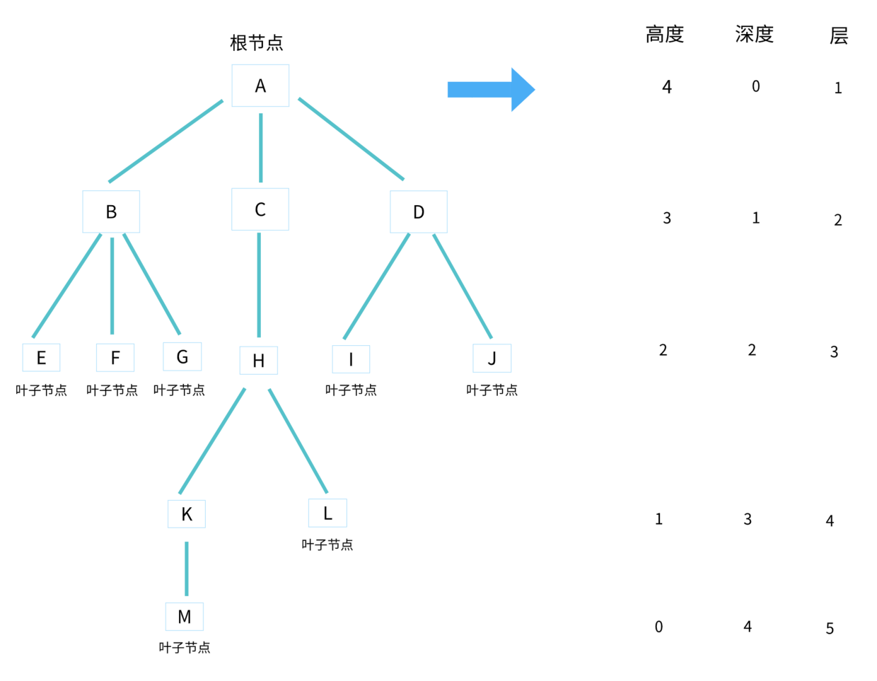 ツリーの高さ、深さ、層