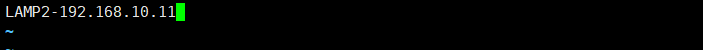 image-20191118134655446