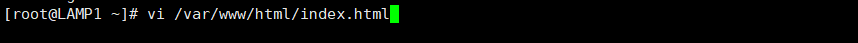 image-20191118134522432