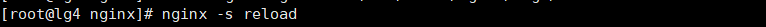 image-20191118203934290