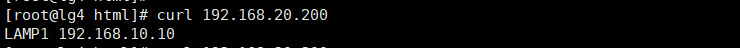 image-20191118201026419