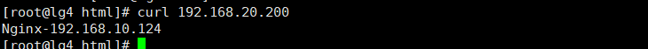 image-20191118195729058