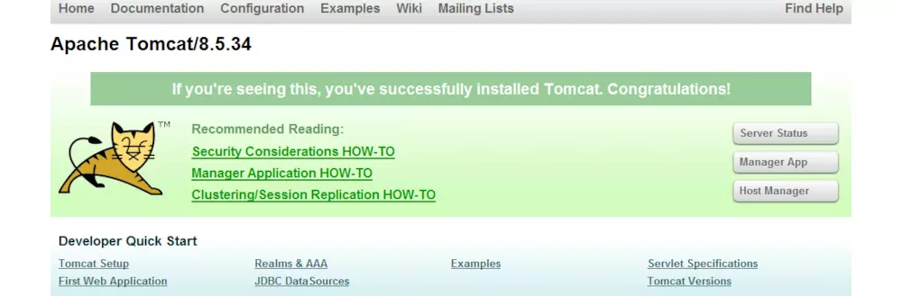 tomcat主页
