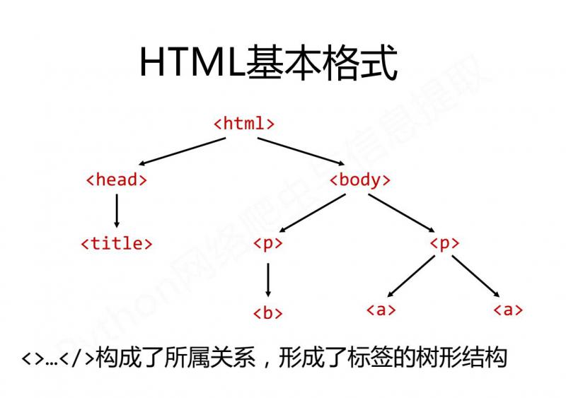 HTML基本格式