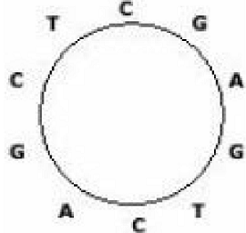 环状序列（Circular Sequence, ACM/ICPC Seoul 2004, UVa1584）