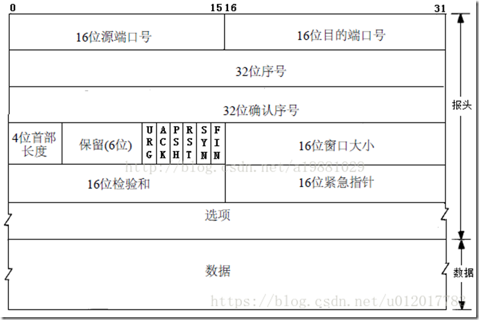 TCP报文格式