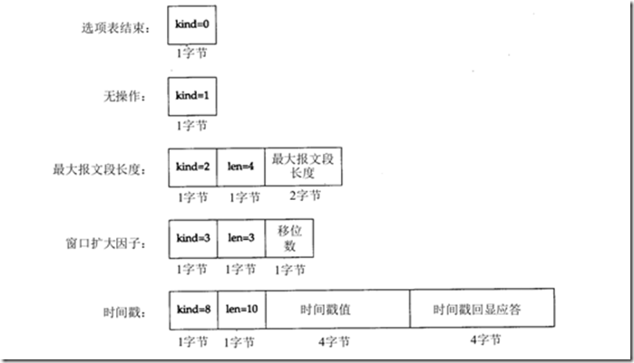 TCP报文选项字段.jpg