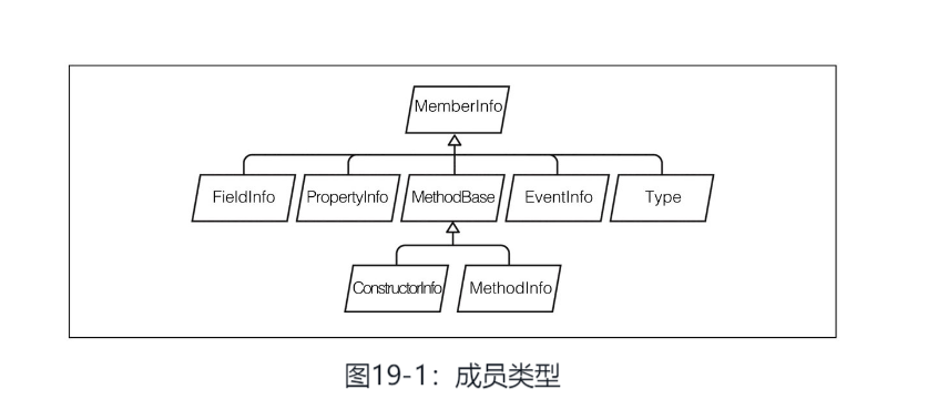 成员类型