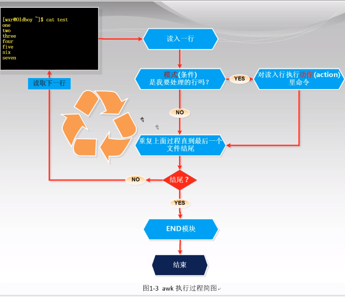 Linux（8）：linux三剑客sed和awk  Shell 编程（1）