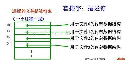 进程的文件描述符表1