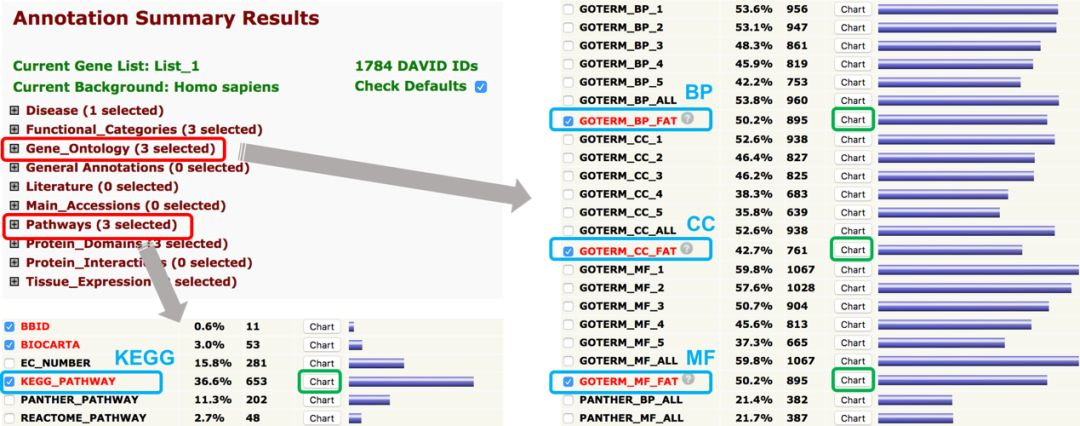 DAVID 进行 GO/KEGG 功能富集分析第10张
