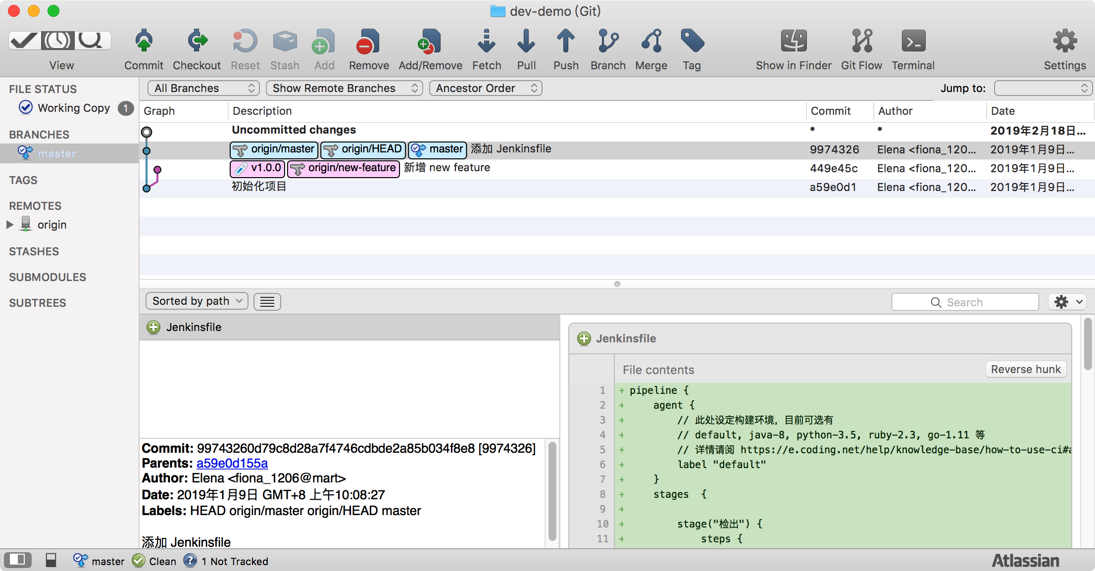 sourcetree checkout ir clone