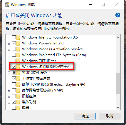 Windows 虚拟机监控程序平台