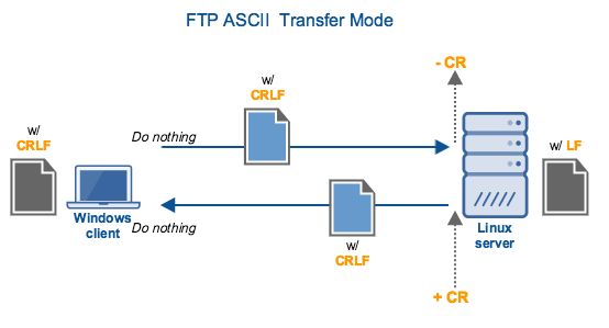 FTP ASCII Transfer Mode