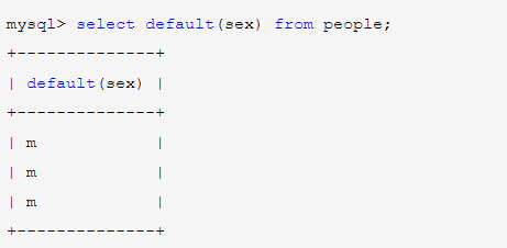 MySQL常见建表选项及约束