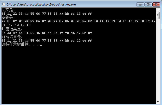分组密码算法AES-128,192,256 C语言实现第一版