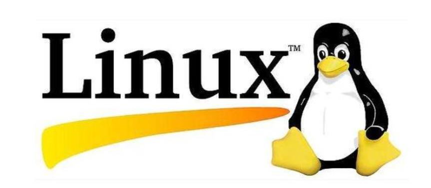 Linux的常见问题解答和管理技巧