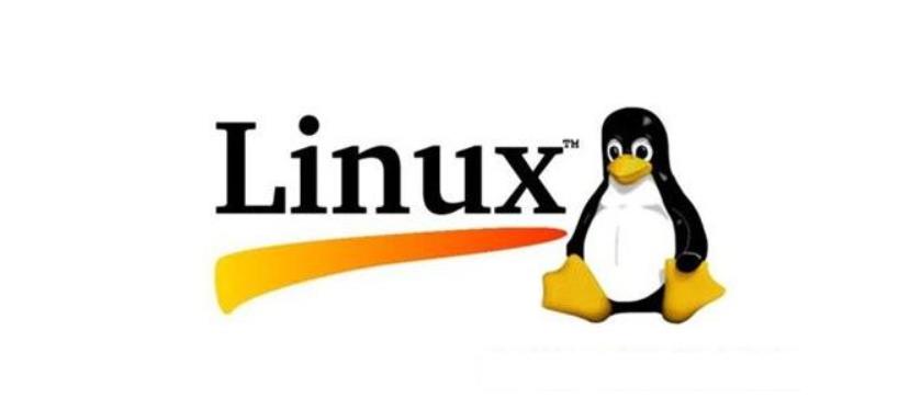 在 Linux 中自动配置 IPv6 地址