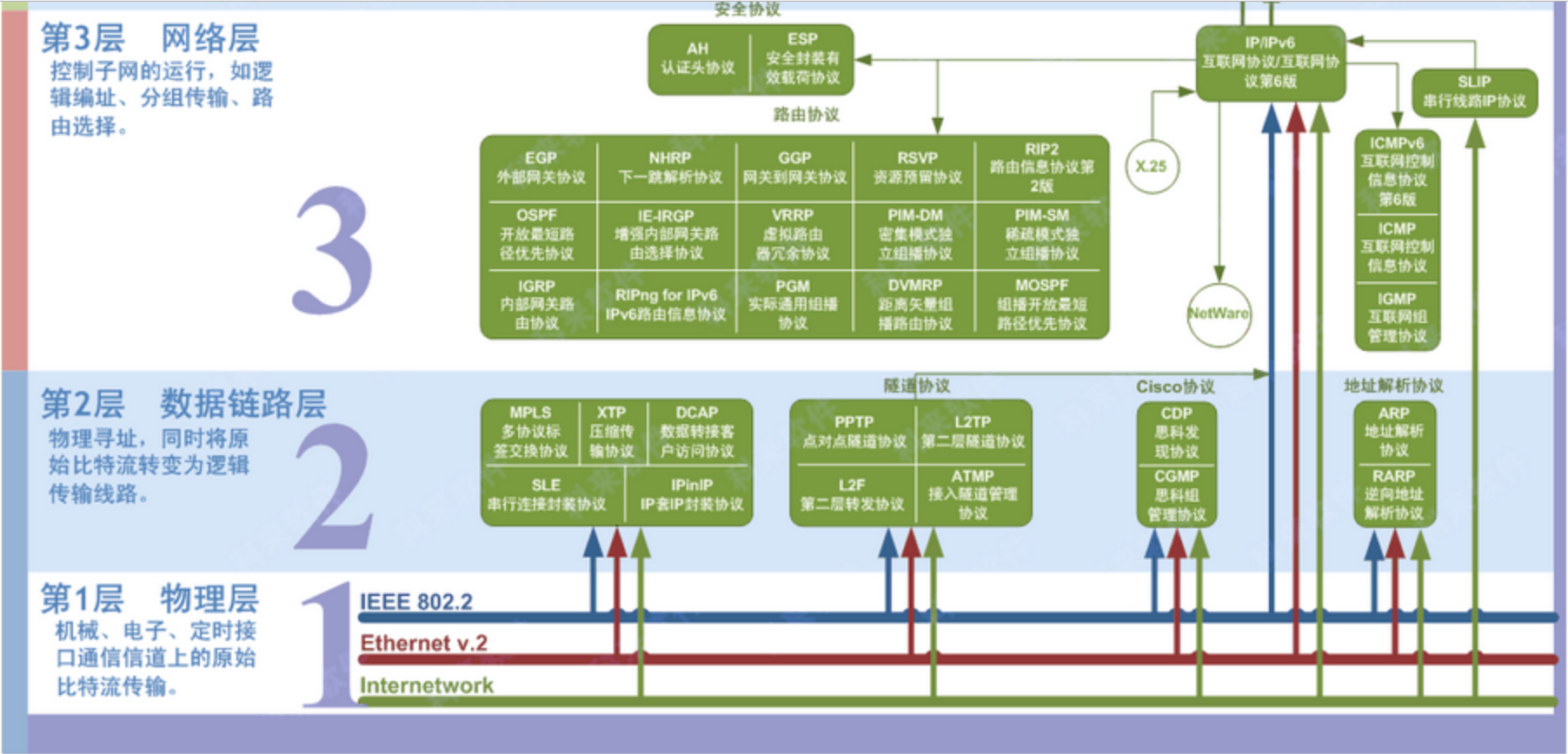 osi七层模型第三层图片