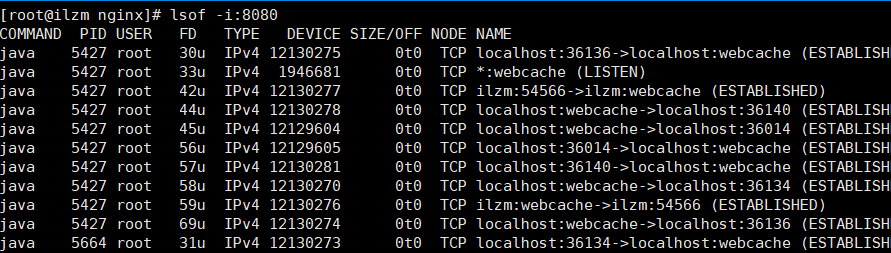 Linux 查询端口被占用命令 