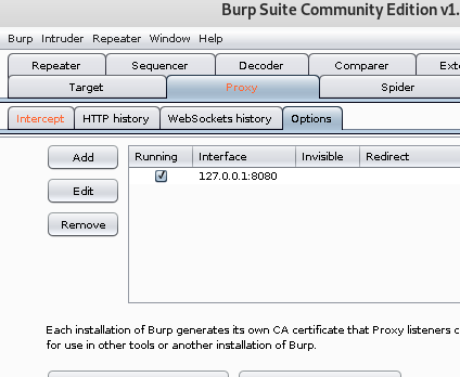 burp suite Interface