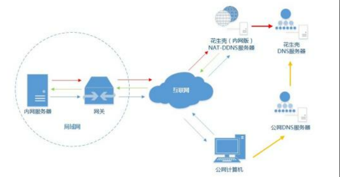 花生壳内网穿透拓扑图