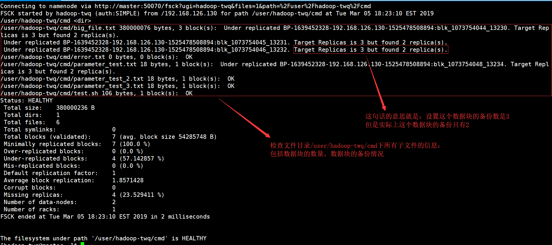 comprobación del sistema de archivos Hadoop