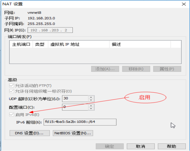 虚拟机ipv6环境搭建操作指南第3张