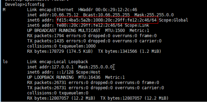 虚拟机ipv6环境搭建操作指南第6张