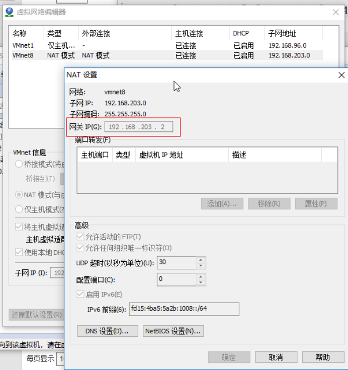 虚拟机ipv6环境搭建操作指南第7张