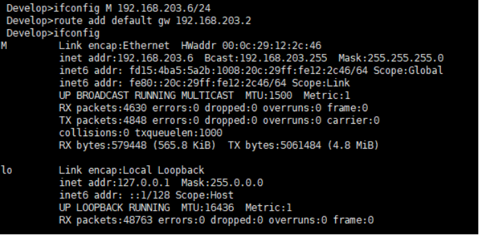 虚拟机ipv6环境搭建操作指南第8张