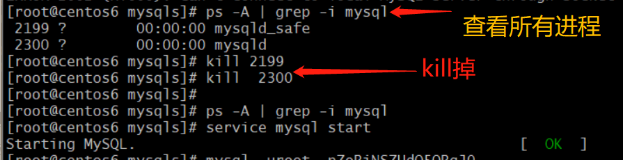 RROR 2002 HY000 Can t Connect To Local MySQL Server Through Socket 