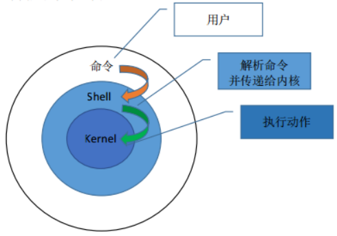 shell脚本和常用命令