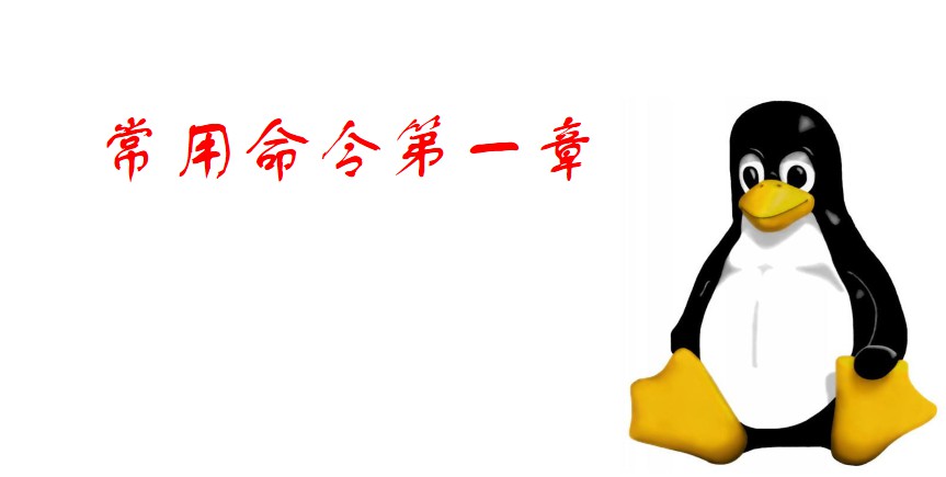 Linux常用命令（ls、man、pwd、cd、mkdir、echo、touch、cp、mv、rm、rmdir、）