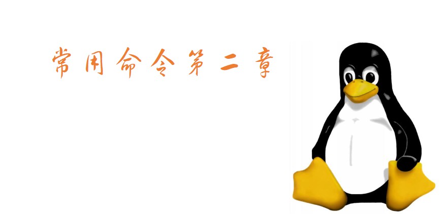 Linux常用命令（cat、more、less、head、tail、clear、poweroff、reboot、alias、unalias、uname、hostname、history、whitch、wc、w、who、whoami、）