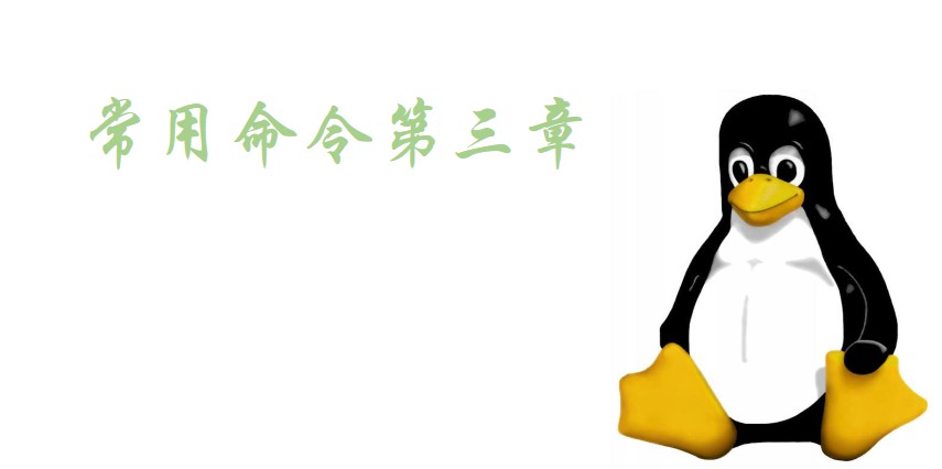 Linux常用命令（ping、kill、seq、du、df、free、date、tar、read）