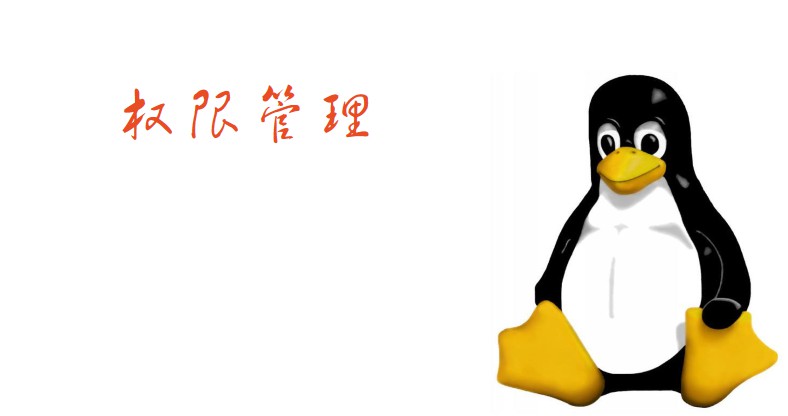 Linux系统对文件及目录的权限管理（chmod、chown）